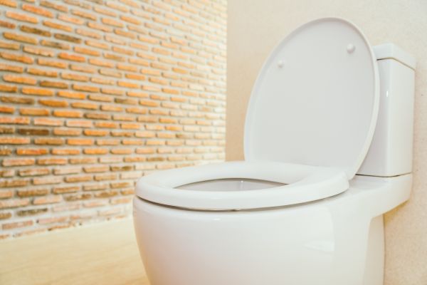 Toilet Seat Repair in Dacula